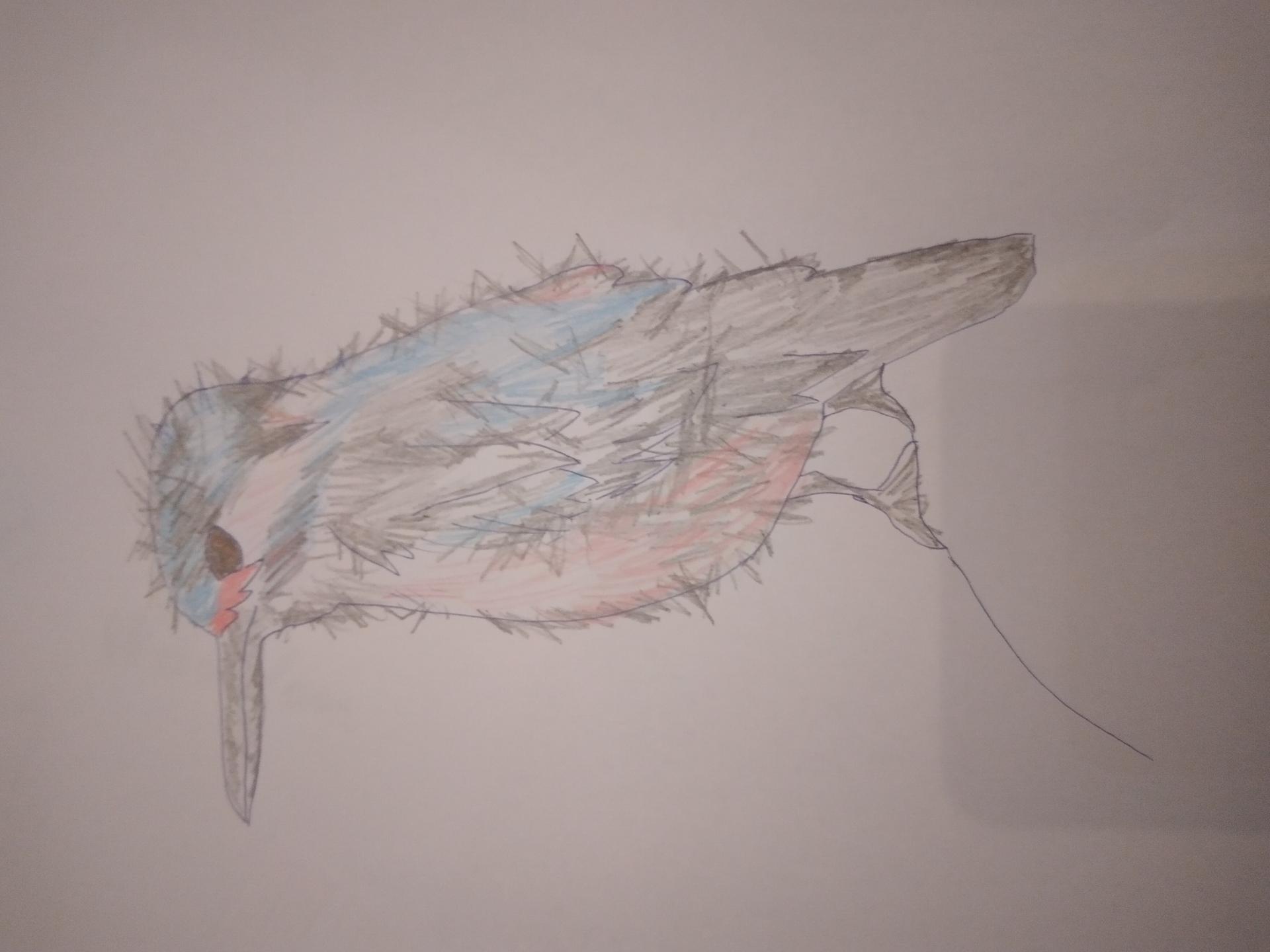   Ceci n’est pas un oiseau.