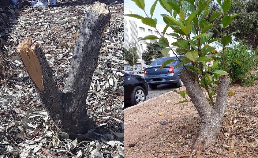 
Vendredi 28 mai 2021, 9h30, Aïn Sebaa, quartier périphérique de Casablanca, face à la [prison Oukacha](https://www.goog...
