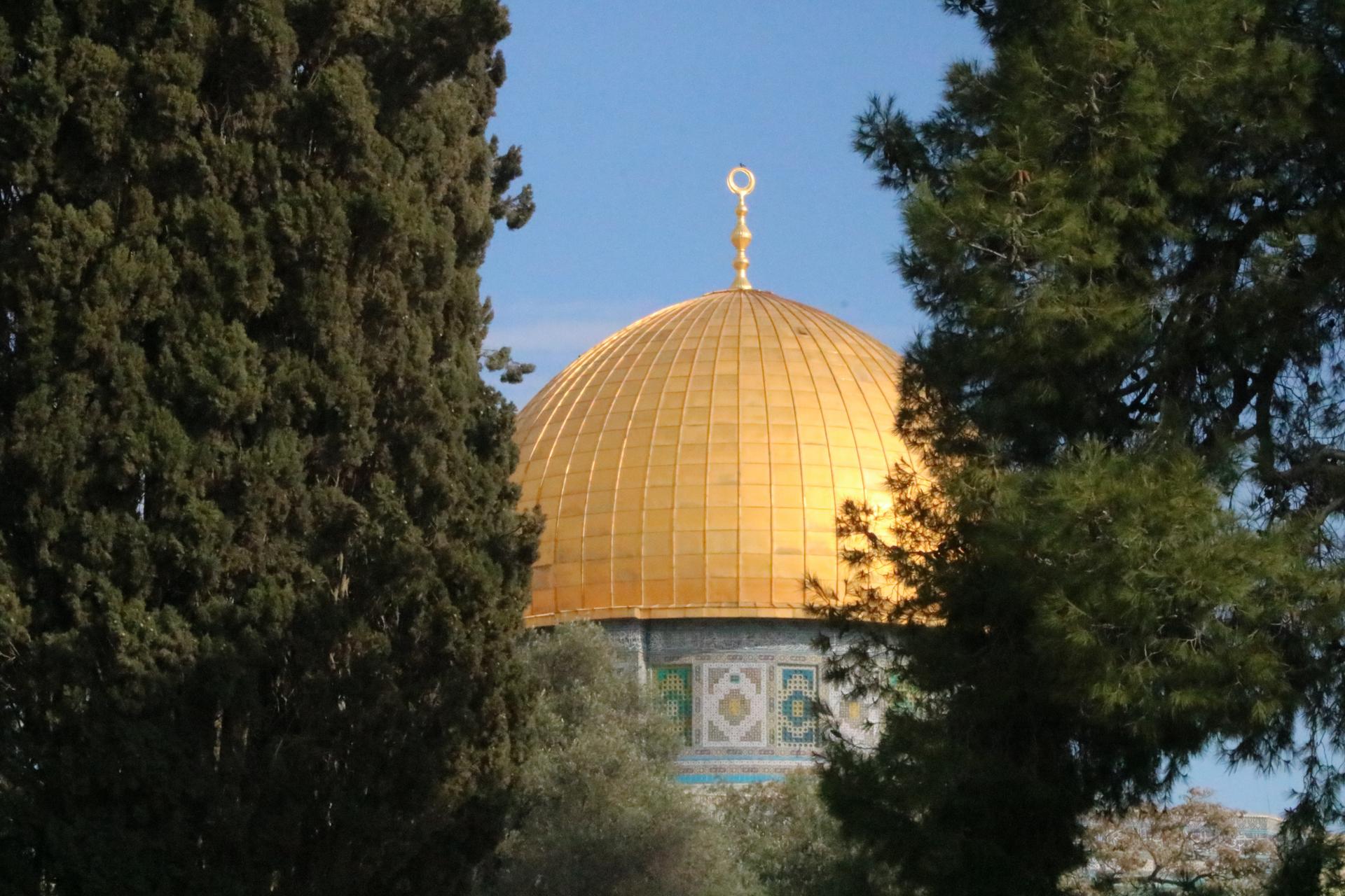 29 تشرين الثاني من قرار تقسيم فلسطين 